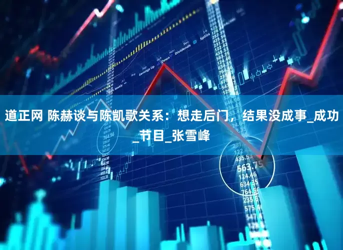 道正网 陈赫谈与陈凯歌关系：想走后门，结果没成事_成功_节目_张雪峰
