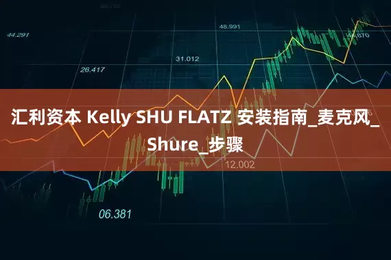汇利资本 Kelly SHU FLATZ 安装指南_麦克风_Shure_步骤