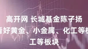 高开网 长城基金陈子扬：看好黄金、小金属、化工等板块