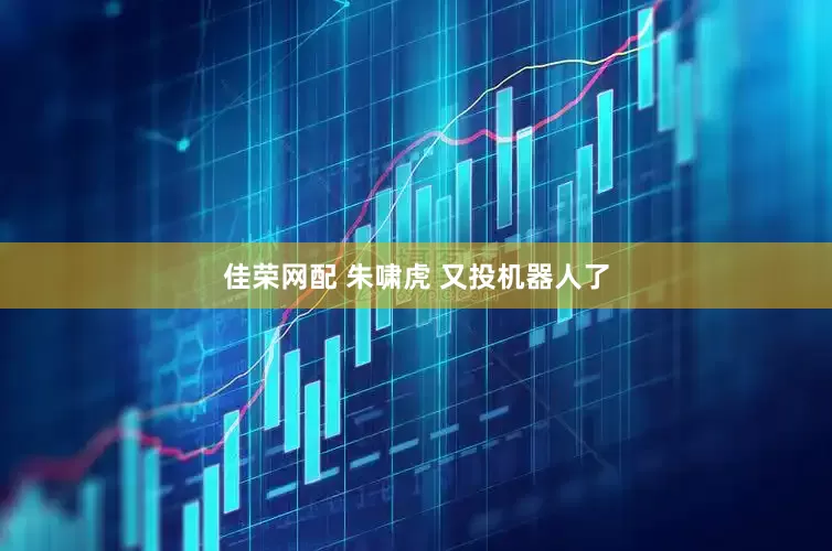 佳荣网配 朱啸虎 又投机器人了