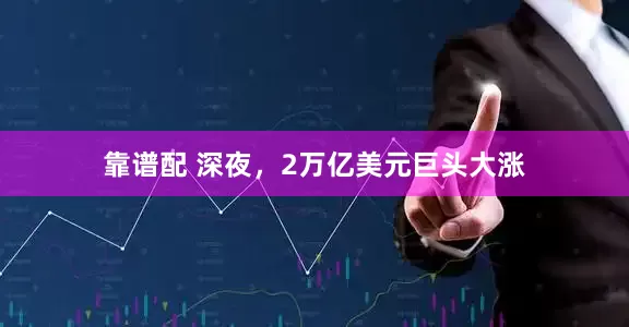 靠谱配 深夜，2万亿美元巨头大涨